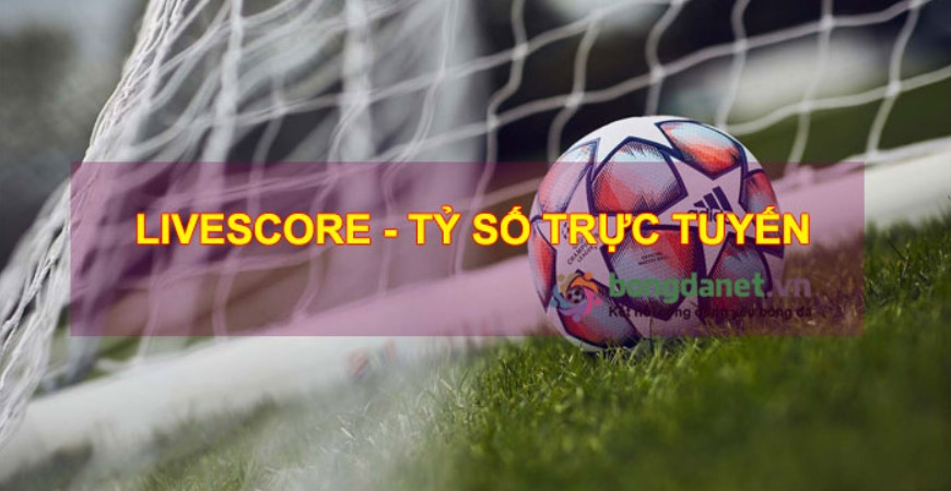 Khái niệm ứng dụng Livescore có nghĩa là gì?